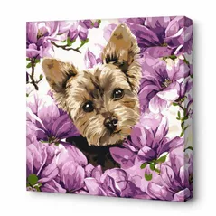 Tablou pe numere Ideyka KHO6796 40x40cm Eco, York in magnolie