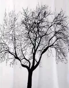 Занавеска для ванной Bisk 04440 TXT TREE arbore negru180x200