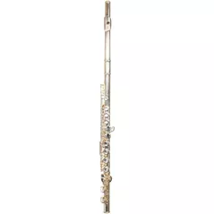 Instrument muzical de suflat Parrot 6456 S