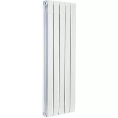 Radiator Radiatori 2000 Design Kalis 1600 (5elem.)
