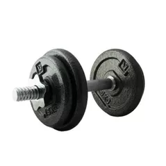 Гантель LiveUp LS2311/10/GY 10kg