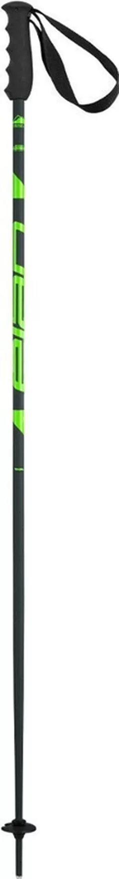 Лыжные палки Elan SPEED ROD green 125 (CD531623 125)