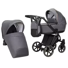 Сărucior pentru copii Angelina Carucior 2in1 Enigma Premium Grey EP-20