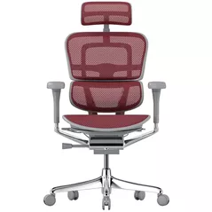 Офисное кресло ART Ergohuman Elite 2 Scarlet T-168-B3 EHE2-AG-HAM-5D-L