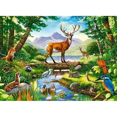 Головоломка Castorland Puzzle B-030408 Puzzle 300 elemente