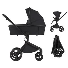 Детская коляска Anex FL-05 Carucior 2in1 Flo Lungo