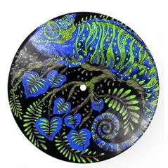 Tablou pe numere Strateg GP-6 Vinil pe numere d=30cm. Cameleon