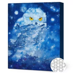 Картина по номерам Art Gallery GB72880 Mozaic cu diamante 30x40cm Bufnita alba