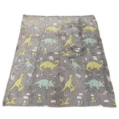 Lenjerie de pat pentru copii Toi-Toys 35562A Pătură pentru copii care luminează în întuneric, cu dinozauri