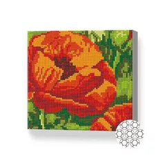 Tablou pe numere Art Gallery BJ1024 Mozaic cu diamante 20x20cm Mac