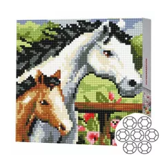 Картина по номерам Art Gallery BJ483 Mozaic cu diamante 20x20cm Cal si manz