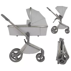 Детская коляска Anex FL-06 Carucior 2in1 Flo Frossy