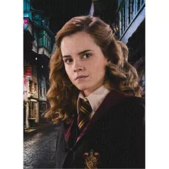 Puzzle Dodo 200577 Puzzle Portretul Hermionei, seria Harry Potter, 450el