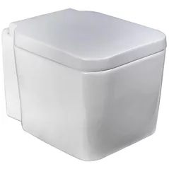 Vas WC Ege Vitrifye NYSA (36303)