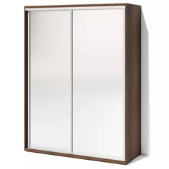 Dulap Fabrik Home Шкаф-купе 2 зеркала 1600 Орех темный