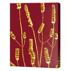 Картина по номерам BrushMe BS53993 Pictura pe numere 40x50cm Eco Planta aurie