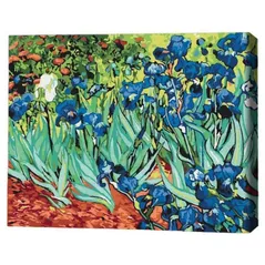 Картина по номерам BrushMe RBS51339FC 30x40сm (fără cutie) Iriși. Vincent van Gogh
