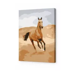 Картина по номерам Art Gallery CX3914 20x30cm Cal nisipiu