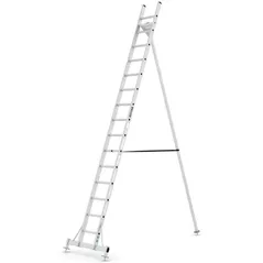 Scară Cagsan BM45 Scara pentru gradina 15 trepte, H=4.59m, max.150kg