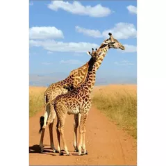 Картина по номерам ToyMall 003993 Mozaic cu diamante 40x50