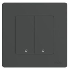 Выключатель электрический Moes ZT-SR-EU2-GY-MS
