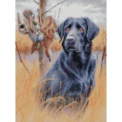 Tablou pe numere Strateg HX276 Алмазная мозайка Лабрадор на поле 30x40