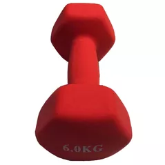 Гантель miscellaneous 4558 Gantera 6 kg mat