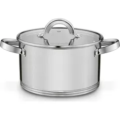 Cratiță Konighoffer Petra 3.6L