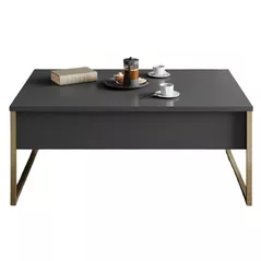 Măsuţă cafea Trendy Lux, Antracit, Aur 74x13,4x98cm