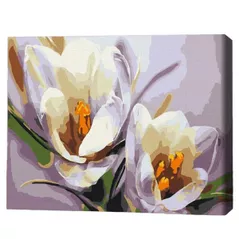 Картина по номерам BrushMe RBS5828FC 30x40сm (fără cutie) Brândușe