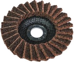 Disc de șlefuire Raider 209955 Disc abraziv nețesut BBL 125mm galben