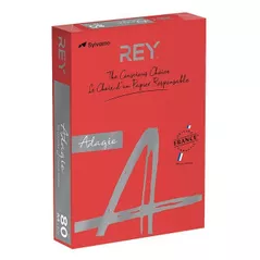 Бумага офисная Rey Hartie colorata A4 Adagio 160g/250 foi, Pink Intense 22 (RYADA160X453)
