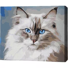Картина по номерам BrushMe RMG0001FC 30x40сm (fără cutie) Pisică Birmană