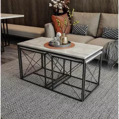 Măsuţă cafea Trendy Defne, Gri deschis, set