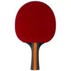 Теннисный инвентарь Stiga 1214-3218-01 Bat Vision 4-Star