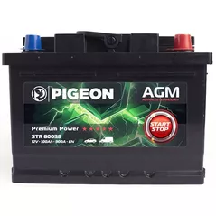 Автомобильный аккумулятор Pigeon EFB Start/Stop 12V 100Ah 900A