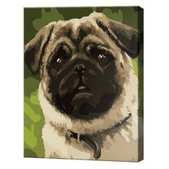 Картина по номерам Art Gallery CX3704 20x30cm Mops dragut