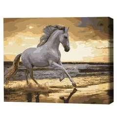 Картина по номерам BrushMe BS30903FC (fără cutie) Trapând pe coastă