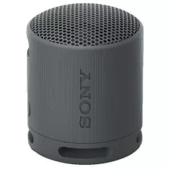 Колонка портативная Bluetooth Sony SRSXB100B