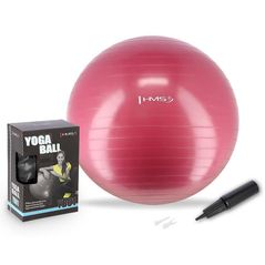 Minge HMS 4824 Minge gimnastica d=65cm cu pompa Plum YB01 (17-42-162)