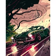 Картина по номерам Strateg R 8 /25 (DY392)(53754) Viteza in ciuda vantului, 40x50 cm