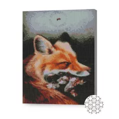 Картина по номерам Art Gallery XQB80225 Mozaic cu diamante 30x40cm Vulpea hatra