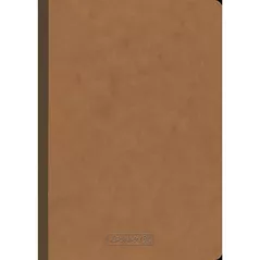 Блокнот Brunnen Carnet A5 maro FACT! Plus patratele 96 de foi