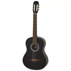 Гитара Fiesta Aria 4/4 FST-C65 Black Mat