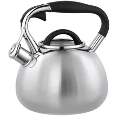 Чайник wiSmark S-016 2,7l