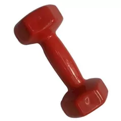 Ganteră sport LXI7253 Ganteră pentru fitness,1 buc x 2 kg