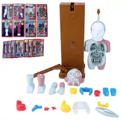 Настольная игра Richi (90829) Настольная игра «Человеческое тело»