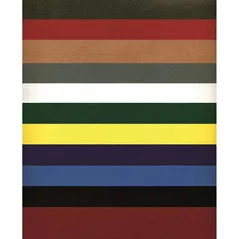 Бумага офисная Argo AR432091 Carton Delta A3, 250g/m2, 100 foi, bordo