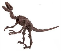 Set de creație 4M 00-13234 Velociraptor Skeleton