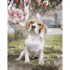 Картина по номерам Strateg R 9 /13 (GS944)(49337) Beagle sub magnolia, 40x50 cm